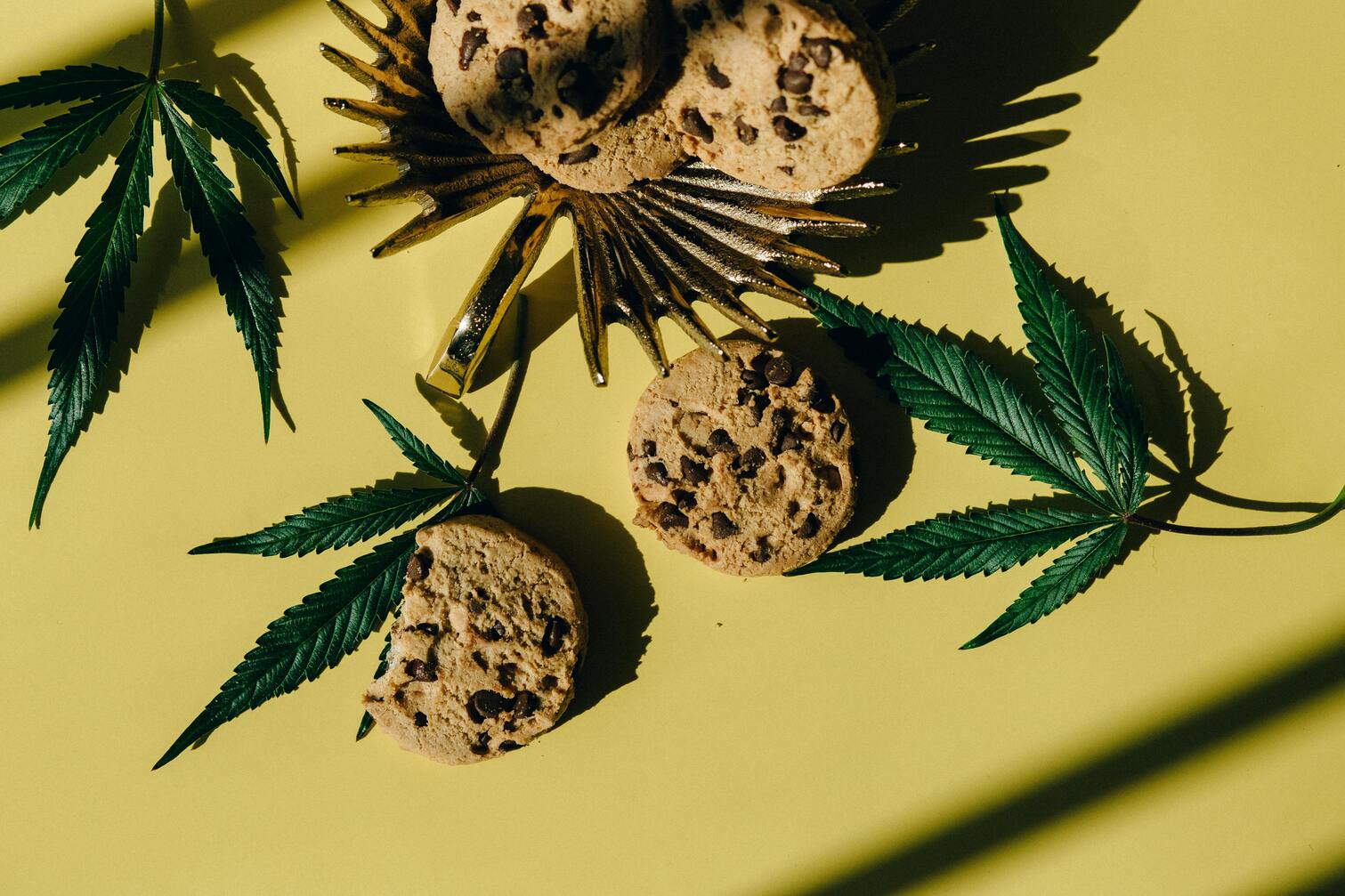 Fondo con hojas y cookies